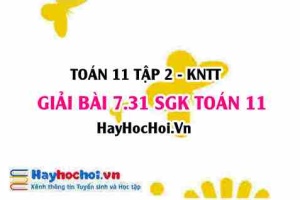 Bài 7.31 SGK Toán 11 Tập 2 Kết nối tri thức